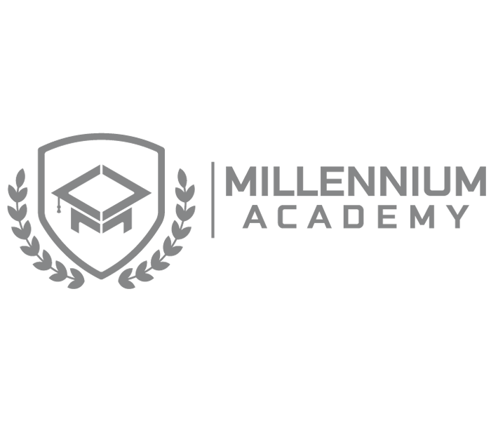 MILLENNIUM-GRIS